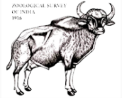 ZSI Kolkata logo
